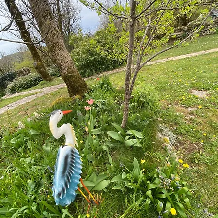 Sur Le Causse De St Chels, Charme Sport Et Détente *