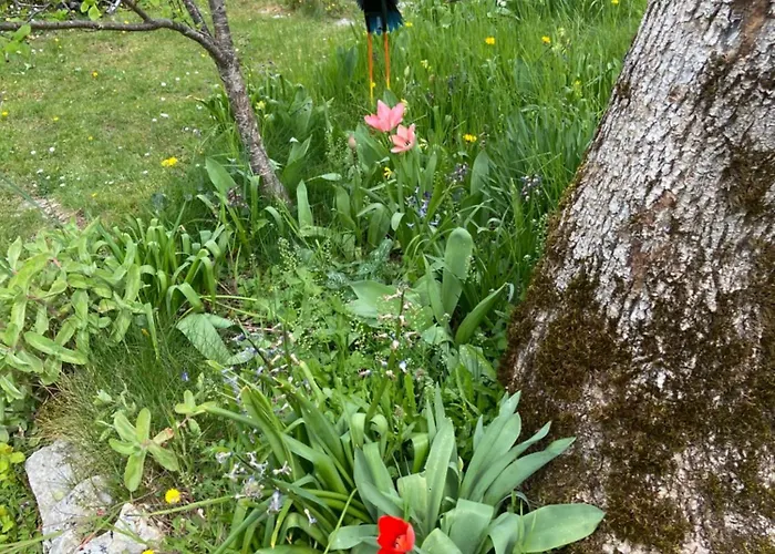Sur Le Causse De St Chels, Charme Sport Et Detente Дом отдыха Saint-Chels