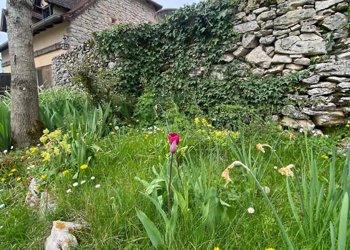 Sur Le Causse De St Chels, Charme Sport Et Detente Дом отдыха *