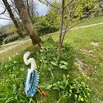 Sur Le Causse De St Chels, Charme Sport Et Detente *