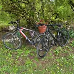 Sur Le Causse De St Chels, Charme Sport Et Detente Tatil Evi *