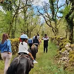 Sur Le Causse De St Chels, Charme Sport Et Detente Holiday home *