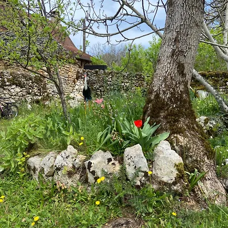 Nyaraló Sur Le Causse De St Chels, Charme Sport Et Detente Saint-Chels