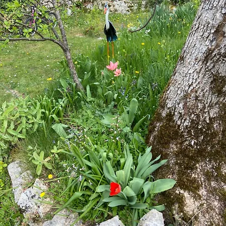 Sur Le Causse De St Chels, Charme Sport Et Detente Holiday home Saint-Chels