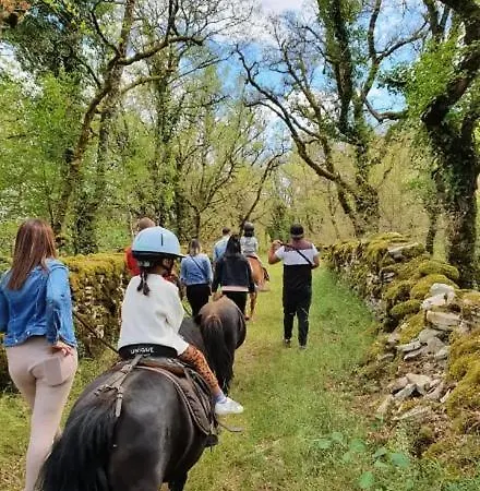 Sur Le Causse De St Chels, Charme Sport Et Detente Ferienhaus *