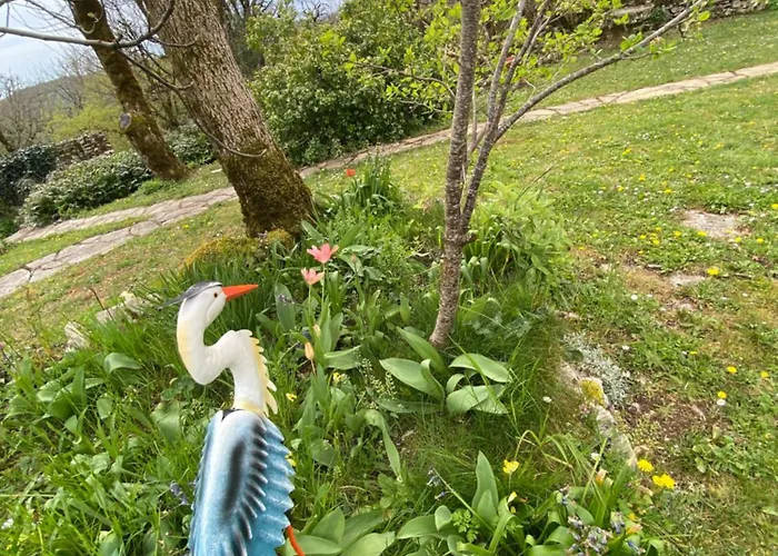 Sur Le Causse De St Chels, Charme Sport Et Détente *