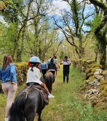 Sur Le Causse De St Chels, Charme Sport Et Detente 度假居 *