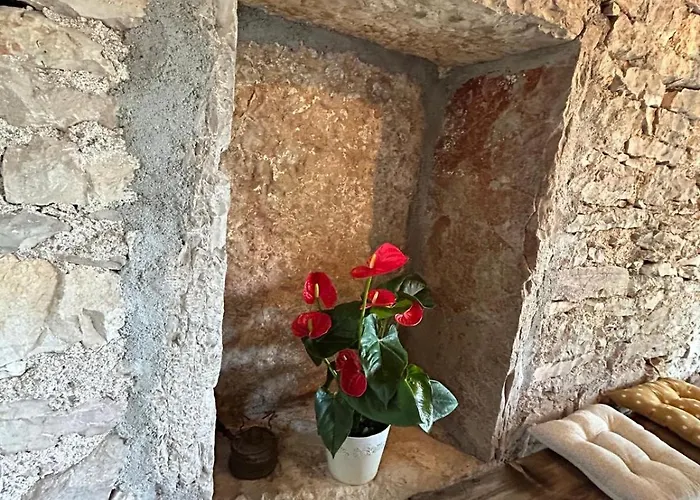 Sur Le Causse De St Chels, Charme Sport Et Détente *